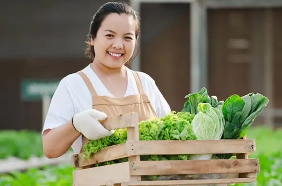 Farmer carrying fresh produce for aggregation