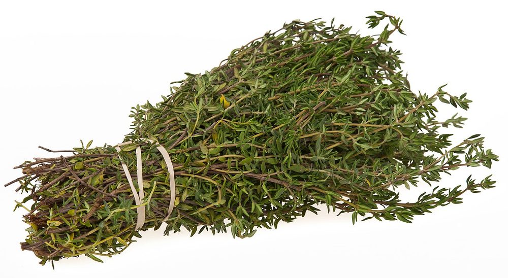 Thyme herb portfolio listing for CorpusFeed product supply