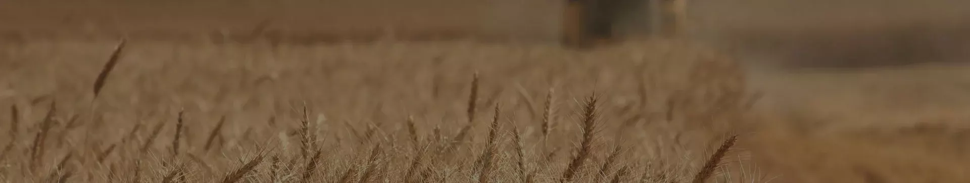 Open agricultural field connected to farmer supply systems